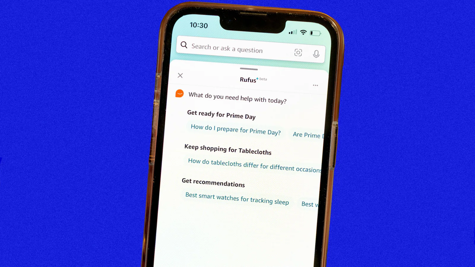 Amazon Rufus 购物助手界面